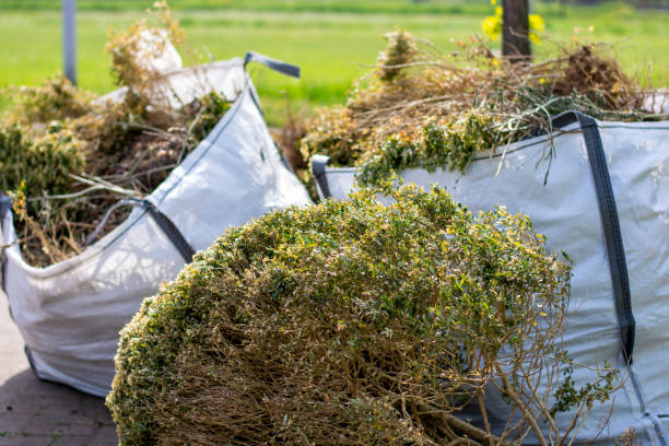 Best Yard Cleanup Services  in Sarand, AL